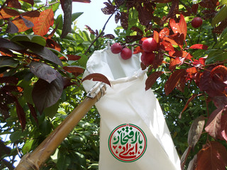 میوه چین میلگردی قوی + انتخاب دسته 2 - 6 متری